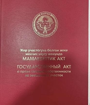 Жер тилкелери: 15000 соток, Бизнес үчүн — 1
