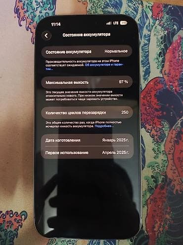 xa max: IPhone 16 Pro Max, Б/у, 256 ГБ, Blue Titanium, Чехол, 97 % — 4