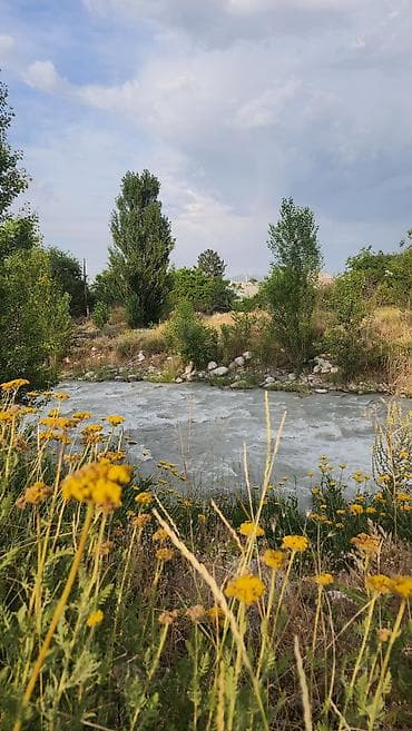рахат: Продам Дачу, с участком 2,5 сотки. СТ Здоровье, с.Таш-Добо. Байтик — 3