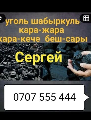лук оптом бишкек: Coal briquettes — 1
