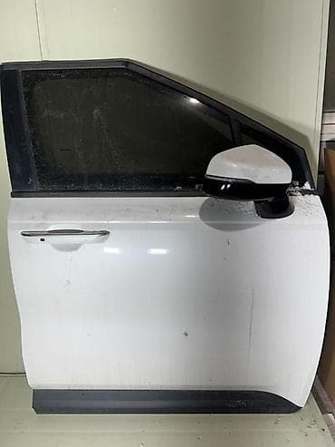 широкая балка: Дверь Передняя левая Kia — 1