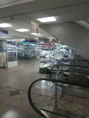 фото на документы: Оцифровка видео кассет сони-8 минидиви распечатка компьютерные — 12