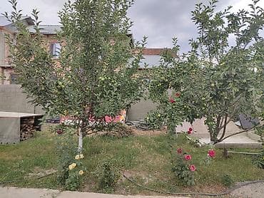 Недвижимость: 🏡 ПРОДАЁТСЯ УЮТНЫЙ 3-КОМНАТНЫЙ ЧАСТНЫЙ ДОМ! 📍 Адрес: село Кожомкул — 4