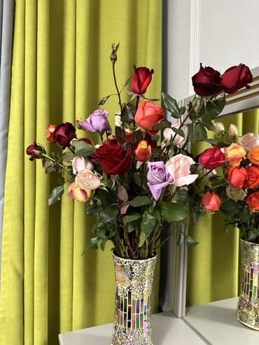 где купить саженцы гортензии в бишкеке: Саженцы роз — 3