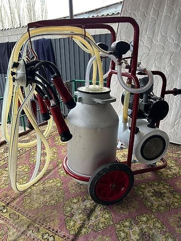 дайльный апарат: Продаю | Корова (самка) — 6