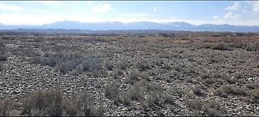 земельный участок балыкчы: 200 соток, Договор купли-продажи, Красная книга — 6