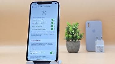 x 256: IPhone X, Б/у, 64 ГБ, Белый, Зарядное устройство, Чехол, 100 % — 10