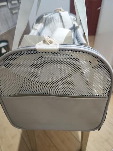 Кошки: Более 5 лет, Мальчик, Проглистована — 4