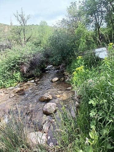 Үйлөр: Үй, 62 м², 3 бөлмө, Риелтор, Косметикалык оңдоо — 1