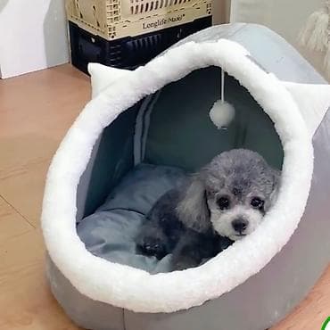 дом для сабак: Большой Домик-лежанка для маленьких собак и кошек. - Форма: закрытый — 1