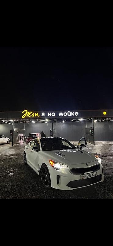 Kia: Kia Stinger: 2019 г., 2 л, Автомат, Бензин, Лифтбек — 8