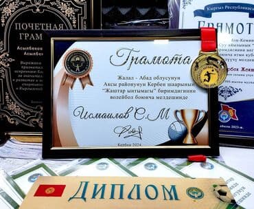 чехол для документов: Грамоты, дипломы, сертификаты с рамкой и без с Вашим текстом! Дизайн — 1