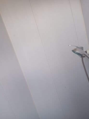 аренда апалувка: 2 бөлмө, Менчик ээси, Чогуу жашоосу жок, Жарым -жартылай эмереги бар — 8