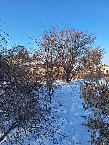 участок село орнок: 5 соток, Курулуш, Кызыл китеп, Техпаспорт, Сатып алуу-сатуу келишими — 3