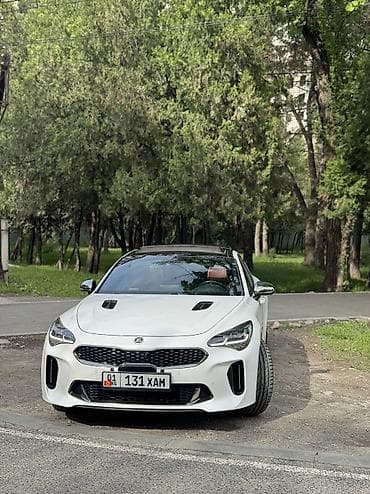 мотор на сапок: Kia Stinger: 2019 г., 2 л, Автомат, Бензин, Лифтбек — 6
