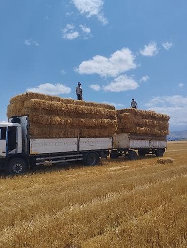 рыбные хозяйства: Продается Ячмень Салома тюки большие чистые 100% оптом по району — 1