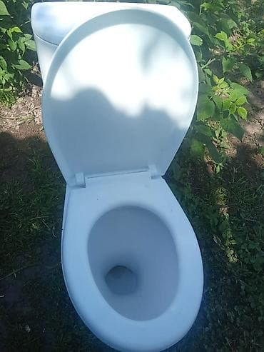 аквариум купить: Унитаз Напольный, Б/у, Материал: Фарфор — 4