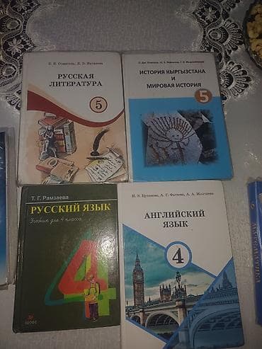 solutions third edition: Набор школьных учебников: - Русская литература, 5 класс (авт. Е. Е — 1