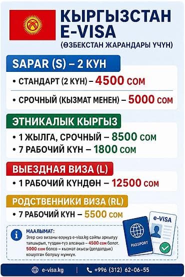 виза в китай для кыргызстанцев 2024 цена: Виза жасап беребиз Узбекистана в Кыргызстан Оформление e-visa и — 5
