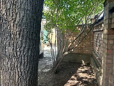 Продаются два отдельных дома на одном участке. Параметры и — 7