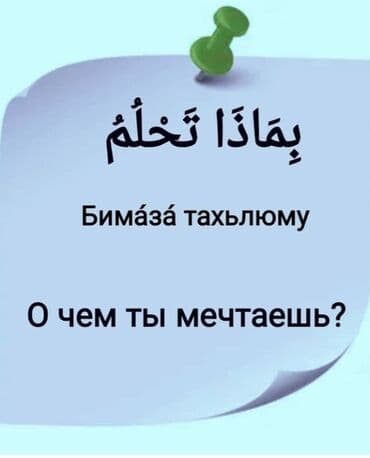 сколько стоит арабский скакун: Языковые курсы Кыргызский, Русский, Турецкий Для взрослых, Для детей — 1
