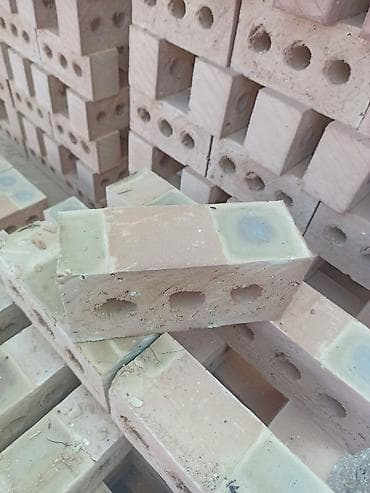 скупка цветов: Пустотелый, дырчатый, Жженый кирпич, Одинарный, 250×120×65 — 6