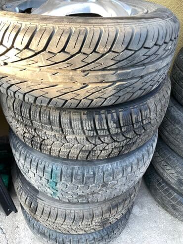 шины на рекс: Шины — 29