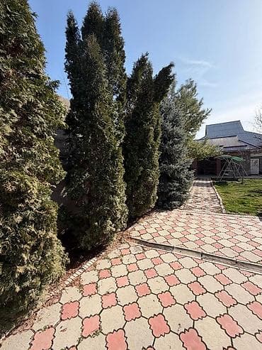 продаю дом с новопавловка жм алтын ордо: Сдается дом, район Киркомстром, НОВОПАВЛОВКА. 5 комнат, просторный — 6