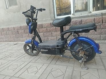 eagle eyes: Электроскутер Panda (городской мини-скутер) - Электропривод заднего — 1