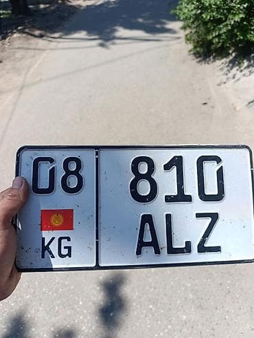 Нашел номерной знак. 08Kg811ALZ.
 на улице Жибек жолу возле светофора