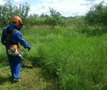 обрезка живой изгороди: Стрижка травы Стрижка газона Стрижка Изгороди Садовник с опытом — 2
