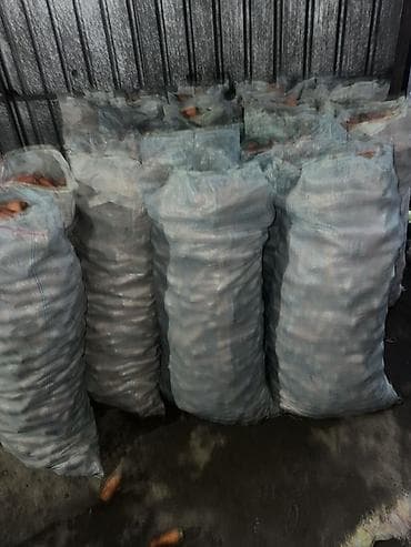 Морковь Оптом