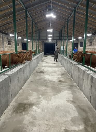 продаю дом этажка: Дом, 100 м², 3 комнаты, Собственник, Евроремонт — 2