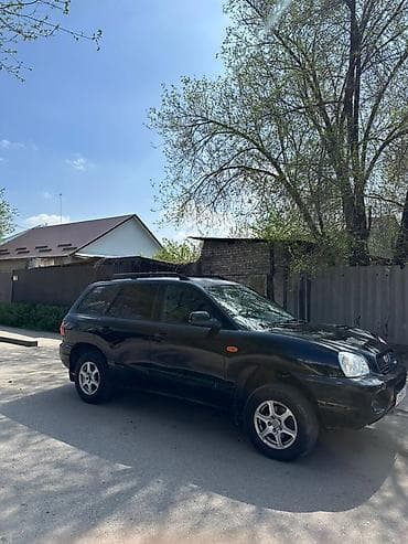 сары булун: Hyundai Santa Fe: 2002 г., 2.4 л, Кол менен иштөөчү, Бензин, Кроссовер — 3