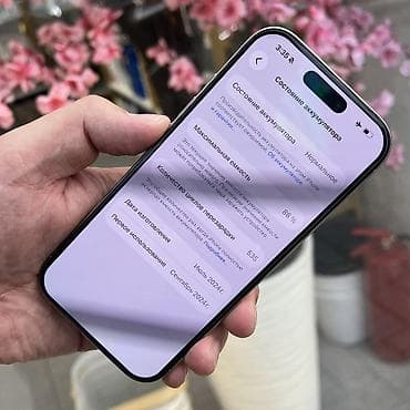 IPhone 16 Pro, Колдонулган, 256 ГБ, Natural Titanium, 88 % — 3