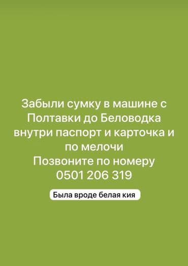 отдам котенка в добрые руки: Услуга: розыск забытой сумки Описание: - Во время поездки по маршруту — 1