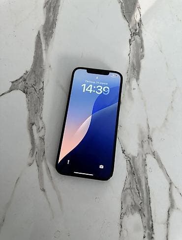 IPhone 12 Pro Max, 256 ГБ, 74 %