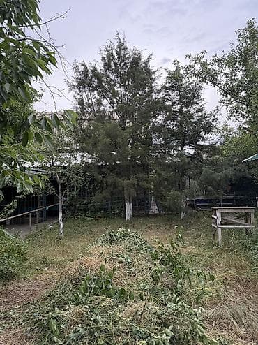 дача дмитриевка: Продаю дачу в СТ Эмгек, напротив села Байтик, возле кафе «Загород», 14 — 5