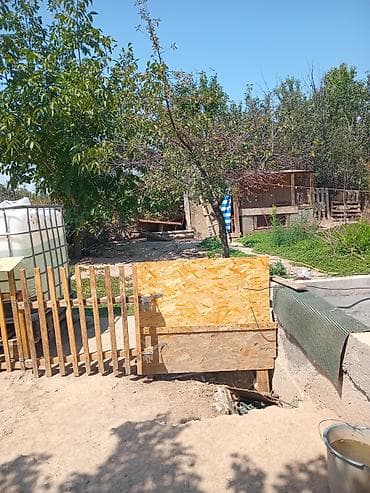 времянка район акбосого: Кунтуу дача-мечта 1. возле дороги очень прохладно летом в жару,нет — 9