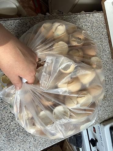 шебен: Большой пакет яичной скорлупы, обмен на киндер. - Большой пакет — 1