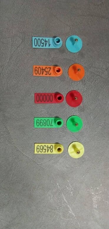 Ушная бирка для овец и баранов. Можно напечатать имя, адрес, номер