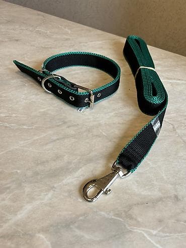 german shepherd: Комплект ошейник+поводок для крупных собак. Амуниция из нейлона — 1