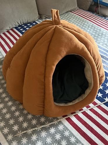 Домик-лежанка для кошек/мелких собак в форме тыквы. Покупалось для — 1