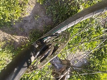 велосипед филипс: Горный велосипед, Алюминий — 9