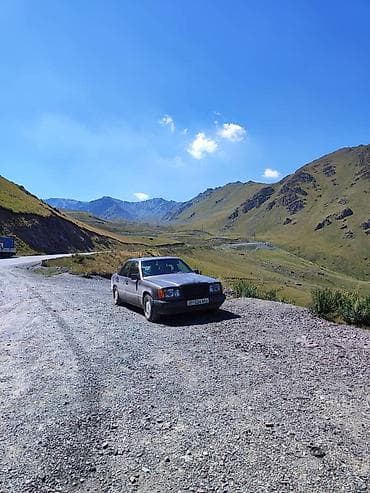 e53 4 8: Mercedes-Benz E-Class: 1991 г., 2.9 л, Автомат, Дизель, Седан — 9