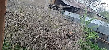 буржуй печка: Дрова — 2