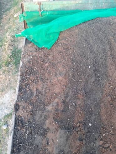 удобрения калий: Чернозем горный 
Перегной перегной отсев песок грави — 1