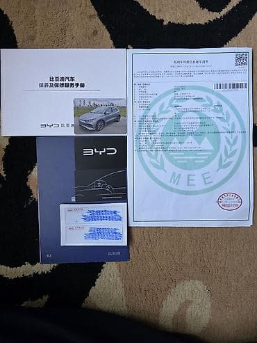 BYD: BYD E2: 2024 г., 0.1 - engine capacity л, Вариатор, Электромобиль, Хетчбек — 7