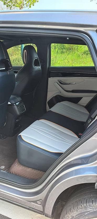 eagle eyes: BYD Song Plus: 2024 г., Автомат, Электромобиль, Кроссовер — 7