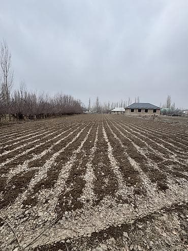 чалдовар продажа домов: 20 соток, Для строительства, Красная книга — 6